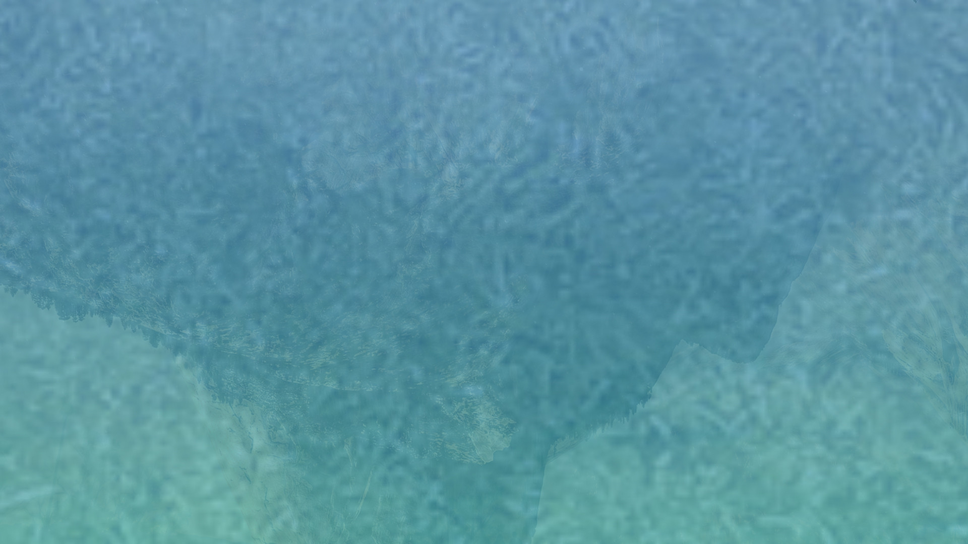 免费测试呼死你